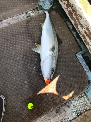 タイラバ あれこれ