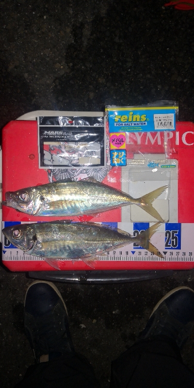 アジング練習　258