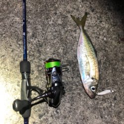 激渋メバリング