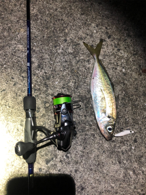 激渋メバリング