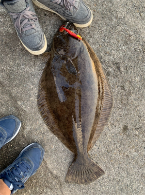 座布団いただきました！