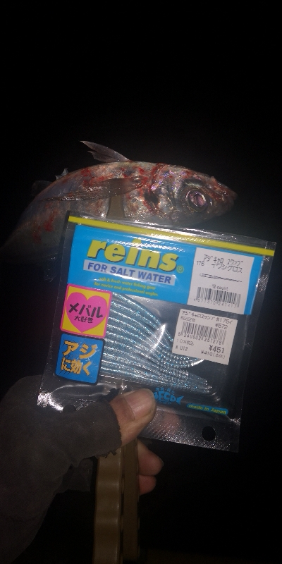 アジング練習　259　