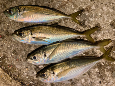 なかなか渋い・・・