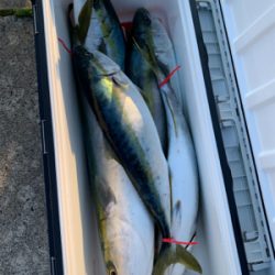 宮津エビスにて丹後沖ジギング