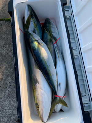 宮津エビスにて丹後沖ジギング