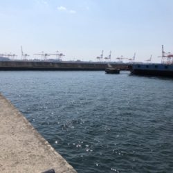 神戸沖堤防第3戦