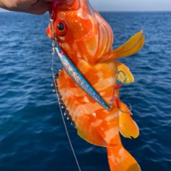 沖ノ島ジギング