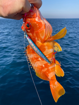 沖ノ島ジギング