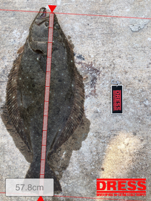 おはようございます