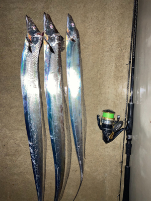 仕事終わりにワインドで良型連発！！