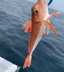 今シーズン、初ボート釣り