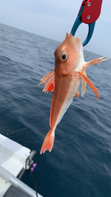今シーズン、初ボート釣り