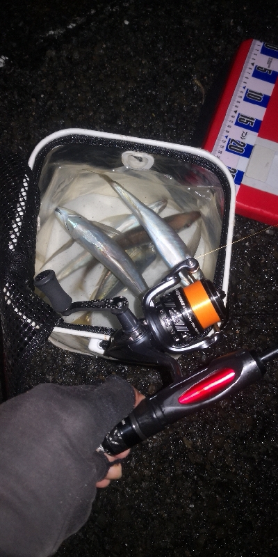 アジング練習 262 南港ジャンボ 尺アジ ABUリアルフィネス69 スローテーパーロッド