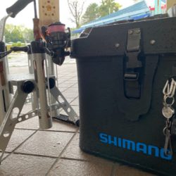 雨の服部緑地は釣りやすい。