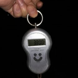 2年ぶりのブラックバス