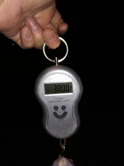 2年ぶりのブラックバス