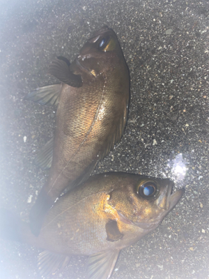 フロートメバリング