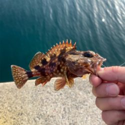 平戸島初釣行！