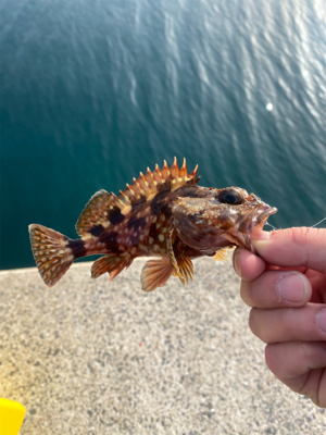 平戸島初釣行！