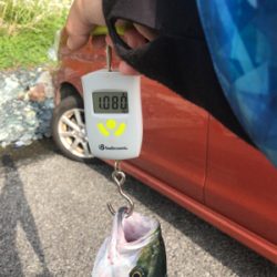 朝マヅメ2時間ショアジギ