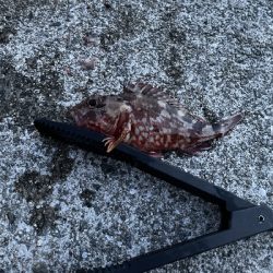 沖堤防で通し釣り