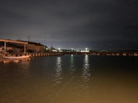 メバルプラッキング④