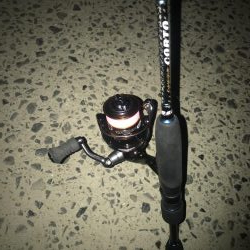 夕マズメのアジング