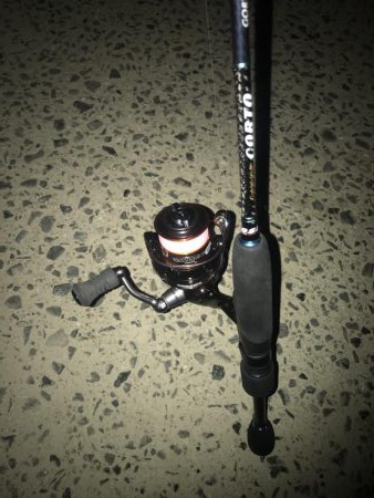 夕マズメのアジング