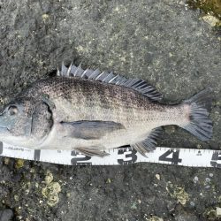 イチノ兄弟、釣果！