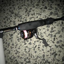 夕マズメにアジング！