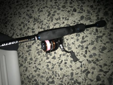 夕マズメにアジング！