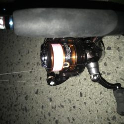 夕マズメのアジング好調