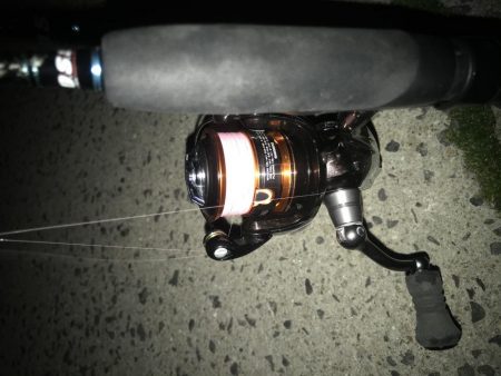 夕マズメのアジング好調