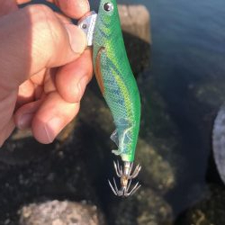 同長30㎝1.2キロ