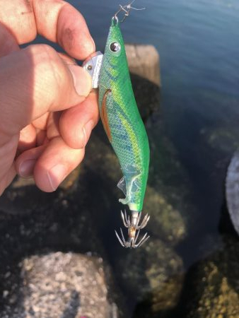 同長30㎝1.2キロ