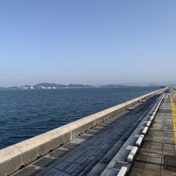 暖かく釣り日和