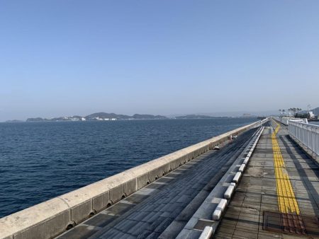 暖かく釣り日和