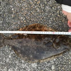 オリジナルベイト