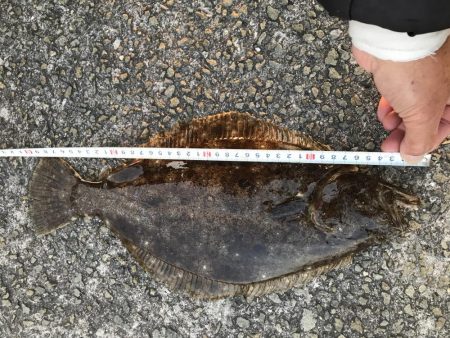 オリジナルベイト