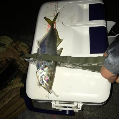 ジグ単De-アジング