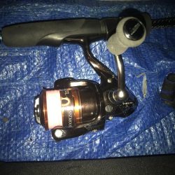 ナイトアジング