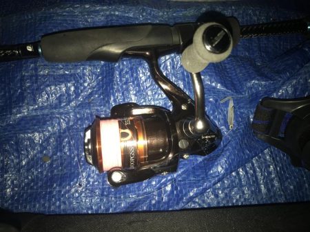 ナイトアジング