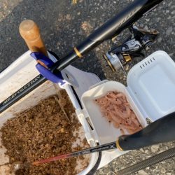 チヌ・アイナメ・カサゴ