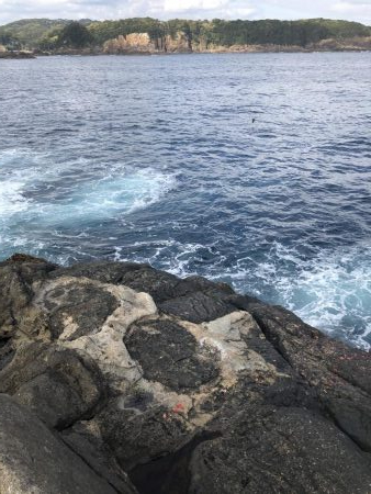沖磯でグレ釣り