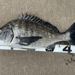 イチノ兄弟、釣果!