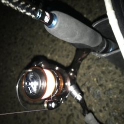 夕マズメにアジング