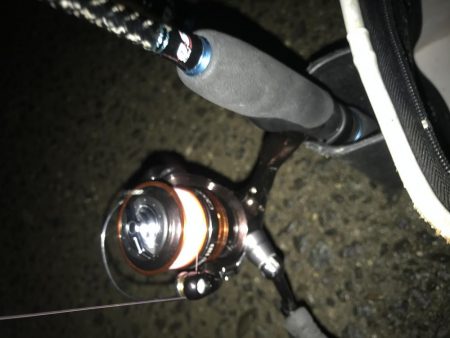 夕マズメにアジング