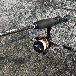 朝マズメにアジング