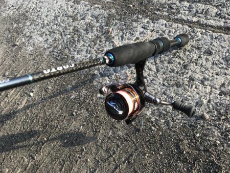 朝マズメにアジング