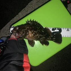 久しぶりの連続釣行